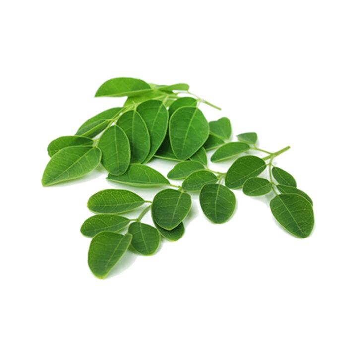 Normadex contains moringa leaves - a powerful natural remedy against parasites