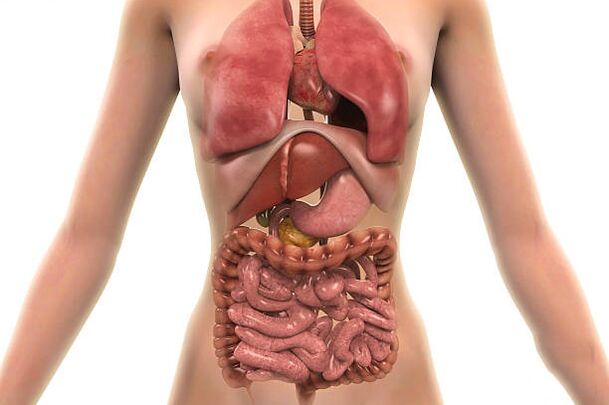 parasites in human body