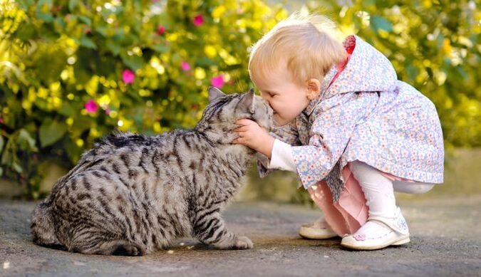 A child kissed a cat and got worms