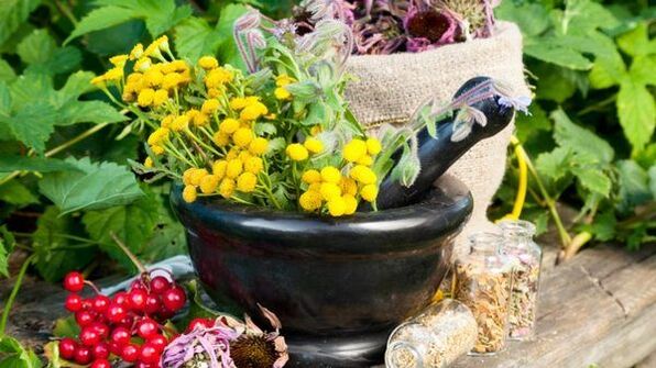 Herbal remedies against worms