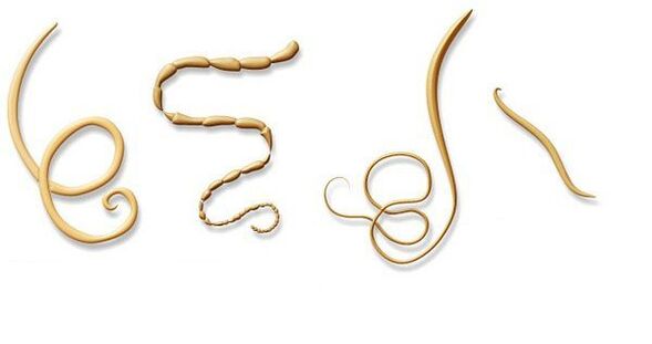 Types of internal parasites