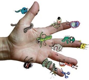 Microbes and parasites on human hands